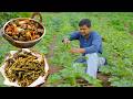 Kurkuri Bhindi Aur Bhindi Ki Sabji Indian Village Cooking