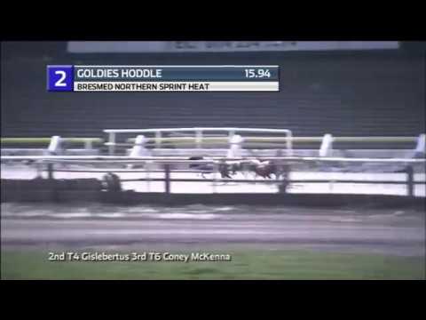 2019 NORTHERN SPRINT - HEAT 6 - T2 GOLDIES HODDLE