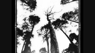 Ancestors Blood  - When The Forest Calls