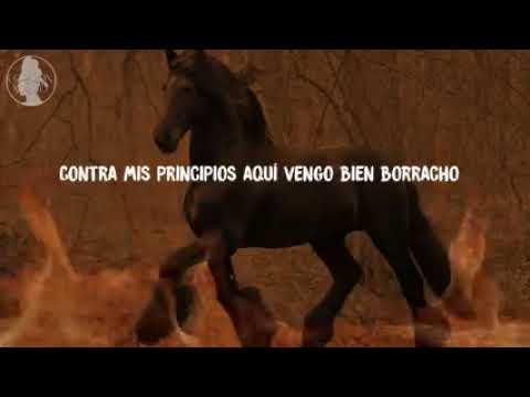 Contra Mis Principios - LETRA - Lenin Ramírez