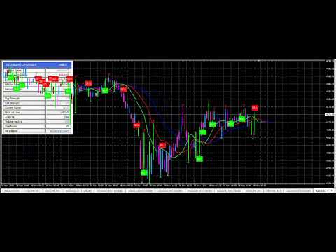 Video Golden Wolf Investors Dream