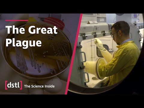 A Closer Look at Yersinia pestis | The Great Plague - Channel 5