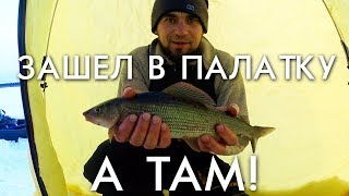 Палатка для зимней рыбалки сыктывкар