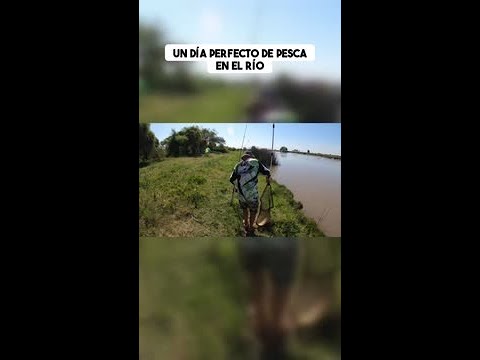 ¡Un día épico de pesca en Río Baradero! 🎣
