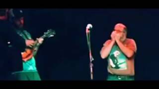 Deep Elem Blues - Grass is Dead - Chris Gubitose on Harmonica