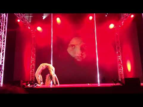 IPAAT, Quarter-Finals Robyn Churchill - Expert Category