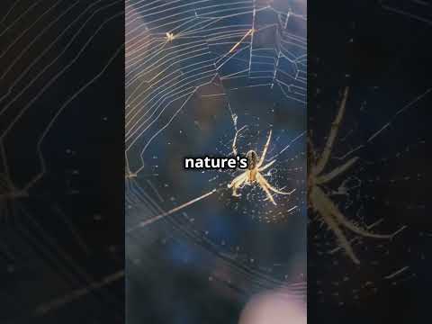 Why Biodiversity Matters  A Quick Guide #facts