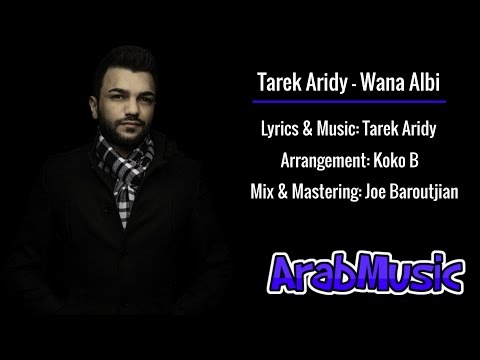 Tarek Aridy - Wana Albi (Lyrics) / طارق عريضي - وانا قلبي