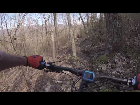 Dowels - Magic Moss - TWOT Descent