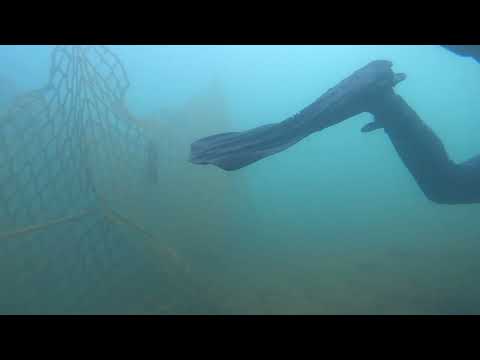 Tauchgang Olbasee September 2022