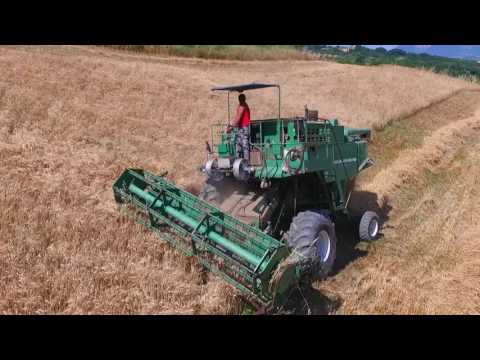 download lagu mp3 mp4 Arbos 200, download lagu Arbos 200 gratis, unduh video klip Arbos 200