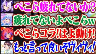 【＃ホロドラゴンマイクラ】ぺこら(ヒッポグリフ)をひたすらイジるラプラスとここぞとばかりにプロレスをしかけるヴィヴィww【ホロライブ/兎田ぺこら/綺々羅々ヴィヴィ/ラプラスダークネス/大空スバル】