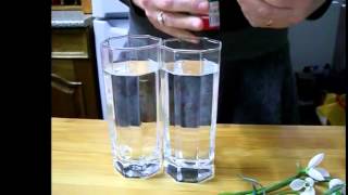  Procese vitale la plante: Transportul apei.