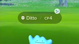 This is how Shiny Ditto Caught in Pokemon Go