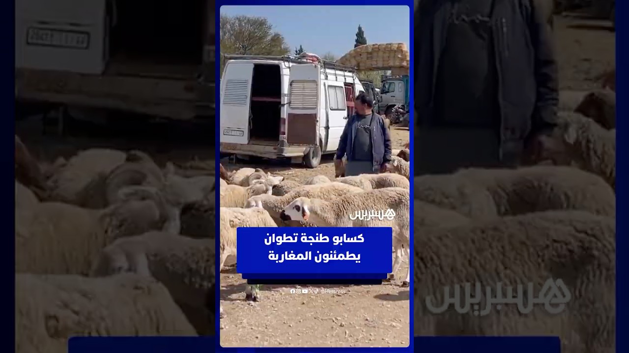 الخير موجود والسلعة واجدة .. كسابو طنجة تطوان يطمئنون المغاربة حول أضاحي العيد thumbnail
