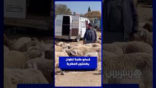 الخير موجود والسلعة واجدة .. كسابو طنجة تطوان يطمئنون المغاربة حول أضاحي العيد thumbnail