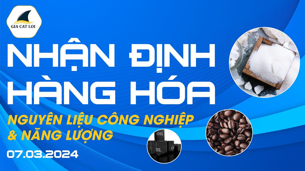Nhận Định Thị Trường Năng Lượng & Nguyên Liệu Công Nghiệp Ngày 07/03/2024