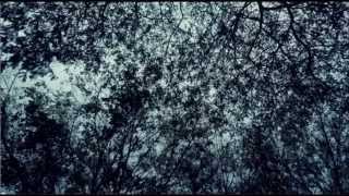 Ponte a Bailar @ Zam Pineda