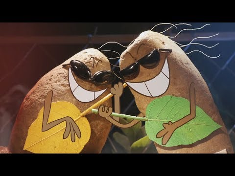 Rock Band | Nick Ident | A rocking performance with real rocks