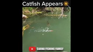 Download lagu BIG FISH STRIKE 💥 #fishing #silure #catfish #shorts mp3 Download lagu BIG FISH STRIKE 💥 #fishing #silure #catfish #shorts mp3