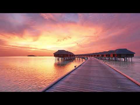 3 HOURS Relaxing Chill out Music | Summer Special Mix 2022 | Beautiful & Paeceful Ambient Music