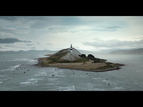 DDB Sydney x Volkswagen