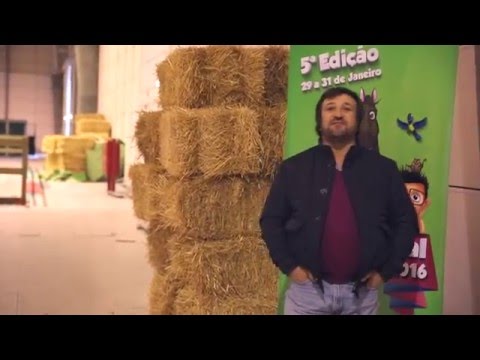 PETFESTIVAL 2016   EQUIEVENTS