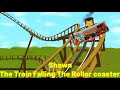 Shawn The Train Falling The Rollor Coaster Reaction