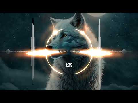 DHARIA Mega Mashup | Sugar & Brownies x Miles Above x August Diaries x Tara Rita | Salzan x RojzZ