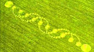 Dance Demagogue - The Plot