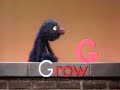 Grover And The Growing Letter G
