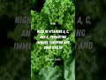 Health Benefits Of Kale Healthbenefits Kale