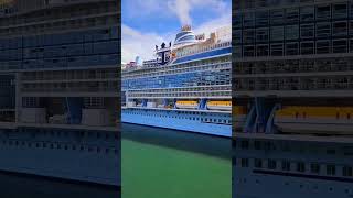 Royal Caribbean Icon of the Seas #shorts