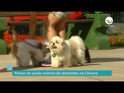 Planos de saúde animal são debatidos na Câmara - 17/09/19