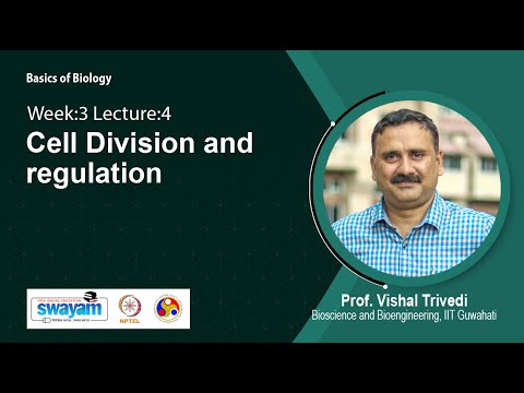 Basics of Biology Intro Video