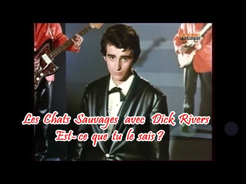 Les Chats Sauvages et Dick Rivers  Est-ce que tu le sais ?