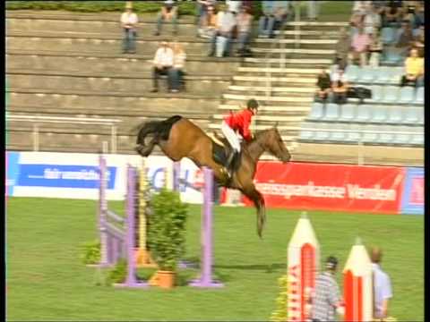 Winnie the Blue d'Ive (Mr Blue x Quickstar)