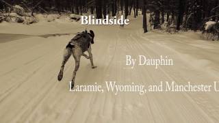 Blindside by Dauphin. NPR Tiny Desk Contest