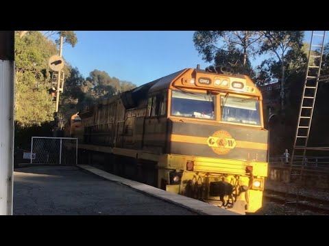 5 Loco Grain Train! - Freight Trains in The Hills - Ep #2