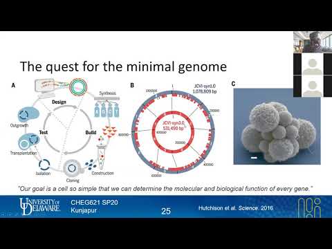 44 Minimal genomes | Genome Engineering Apps | Lecture 17 | Metabolic Engineering | SP20