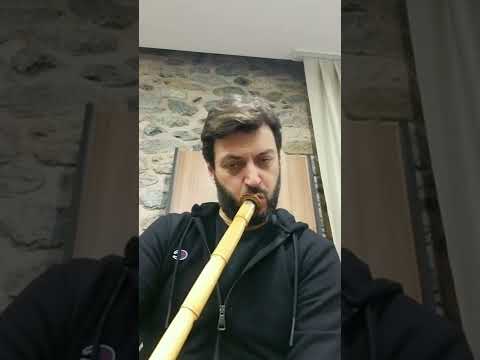 SEGAH TAKSİM — NEYZEN VOLKAN YILMAZ — MANSUR NEY — 11.01.2022