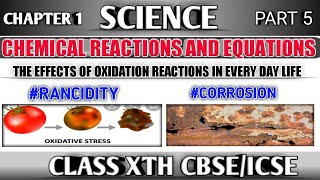 NCERT/Class 10th (CBSE)/Chemistry/ Chapter 1/ The effect of Oxidation Reactions in Everyday Life