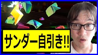 【俺が引くんかい】サンダー自引き!! なかなか出てこないだよねサンダー ジョウトクのマリオカートワールド実況