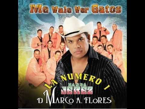 La Numero 1 Banda Jerez - Me Vale Ver Gatos Bravos