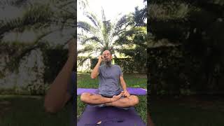 BAM Yoga . Your Practice  Is The Bridge Between Ego And Soul