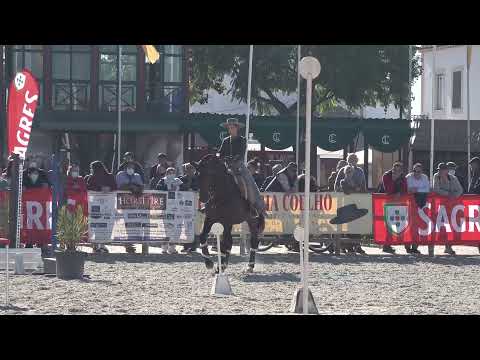 Nicole e Hábil - Final CNET - GOLEGA