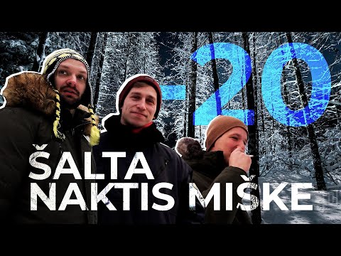 ŠALTA NAKTIS MIŠKE SU NORBE IR KAPITONU LUKU