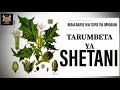 TARUMBETA YA SHETANI MAAJABU NA SIRI YA MNANA