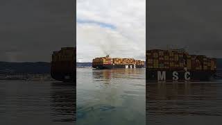 MSC Diana 400mt 19.500TEU Trieste 08/02/2026 10:00