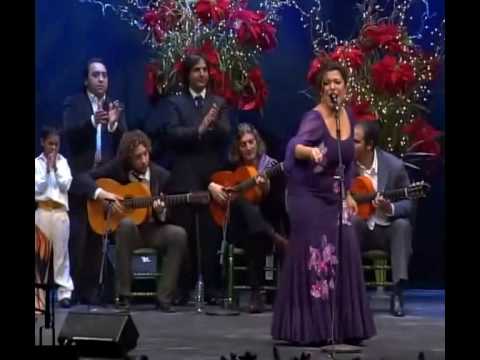 download lagu mp3 mp4 Gitanos De Cai 2007 Flamenco Joven, download mp3 Gitanos De Cai 2007 Flamenco Joven free downloadn, video klip Gitanos De Cai 2007 Flamenco Joven